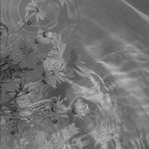 Meet your Posher, Gianna - Picture 1 of 1